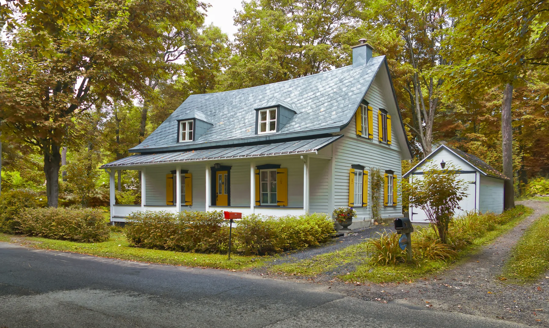 A white farmhouse with yellow shutters at the edge of the woods
